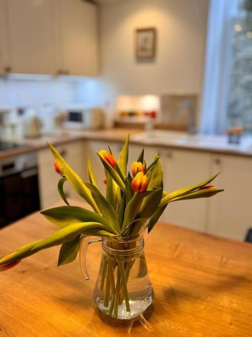 Apartment Harbour Haven Lerwick
